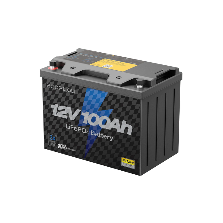 EcoFlow Lithium 12V 100Ah Battery - Image 2